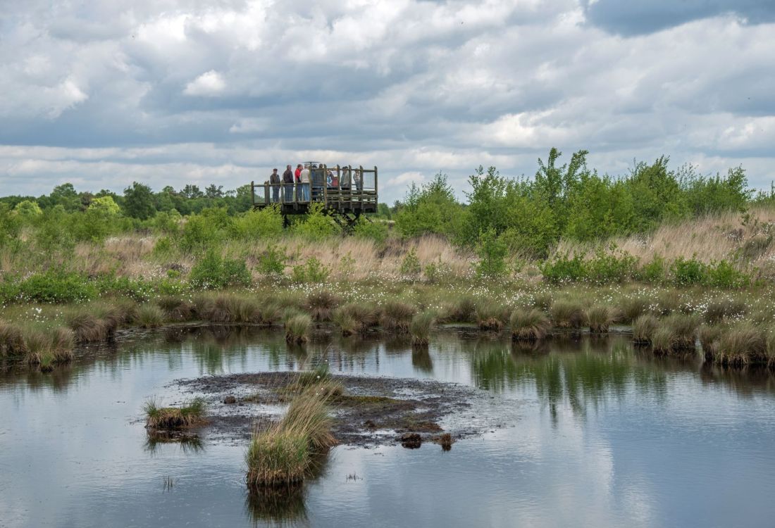 Landschaftsführungen Erholungsgebiet Thülsfelder Talsperre