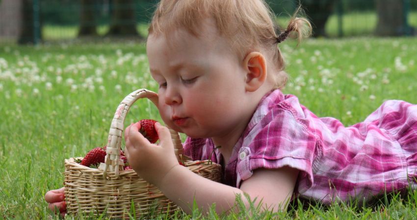 Mädchen auf einer Wiese mit Erdbeeren