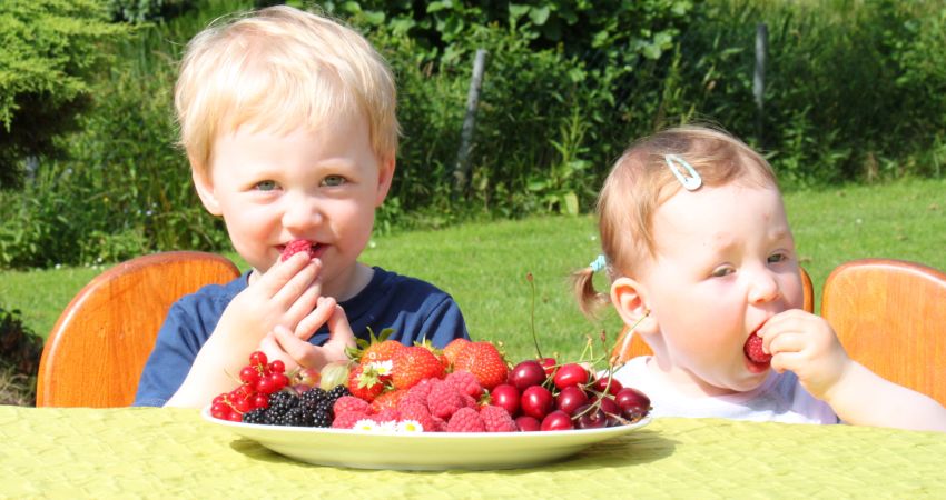 Kinder mit einem Teller Beeren