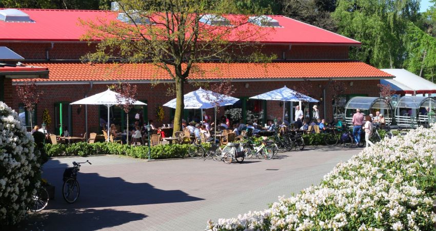 Gäste auf der Terrasse hinter blühender Hecke