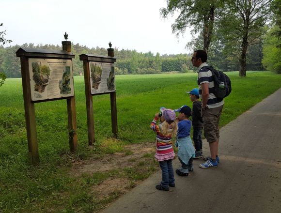 Wald, Kinder, Gästeführerin