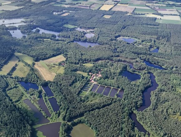 Luftbildaufnahme Ahlhorner Fischteiche