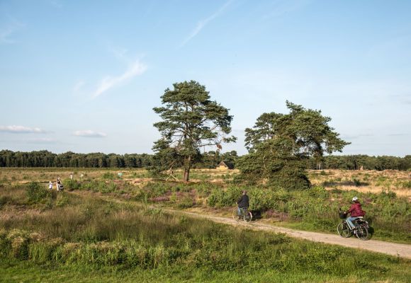 tourist info cloppenburg