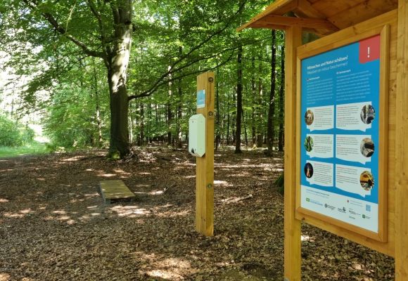 Station 1 Dwergter Hunderunde