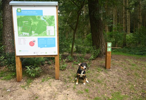Dwergter Hunderunde Start mit Hund